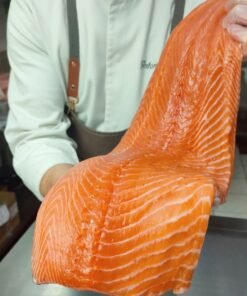 Salmon