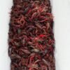 Crawfish