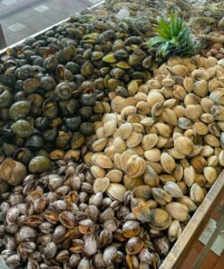 SNAILS & SHELLFISH